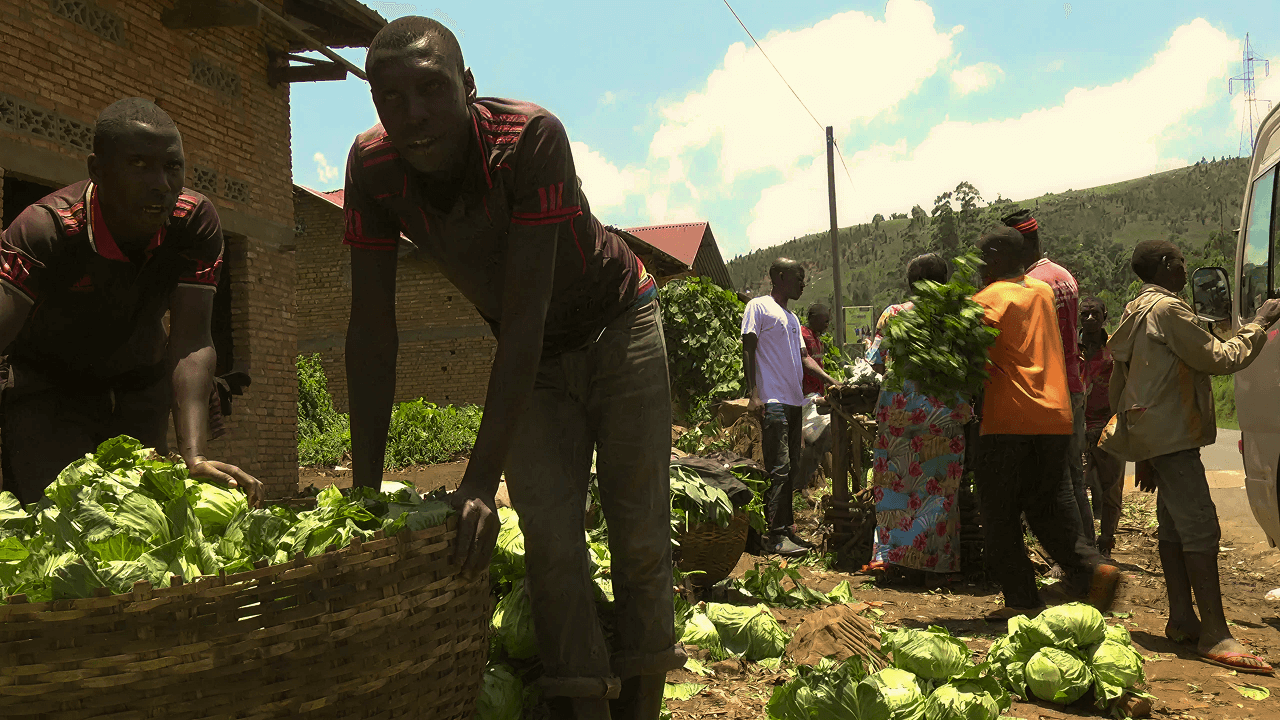 Environment program in action